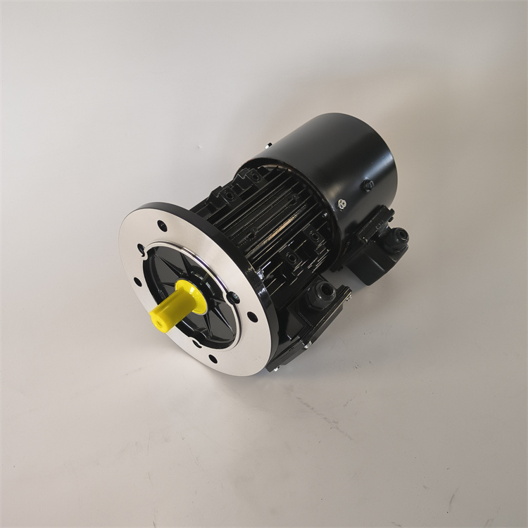 力矩三相異步電機YLJ80-2.5\/8適用于開卷放卷制動調(diào)速等接受定制