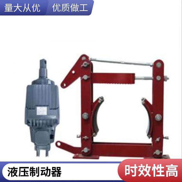 金箍臨瑞制動器電力液壓推動器YWZ9-300\/E30剎車片YWZ9-630\/E201***廠家