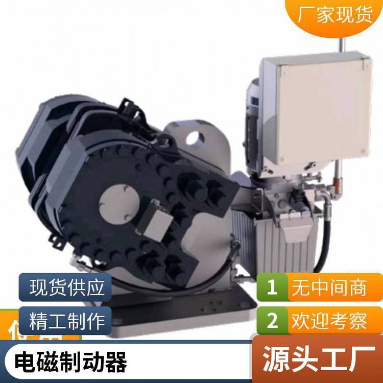 臨瑞起重機(jī)摩擦片電磁鐵控制器PZ20MWZ2S-500\/7100K安全穩(wěn)定節(jié)能全國(guó)供應(yīng)