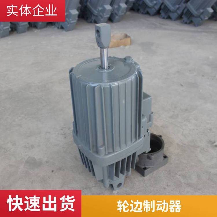 夾輪器臨瑞YLZ40-200.CP免維護油缸YLZ25-210.CP聯(lián)保密封