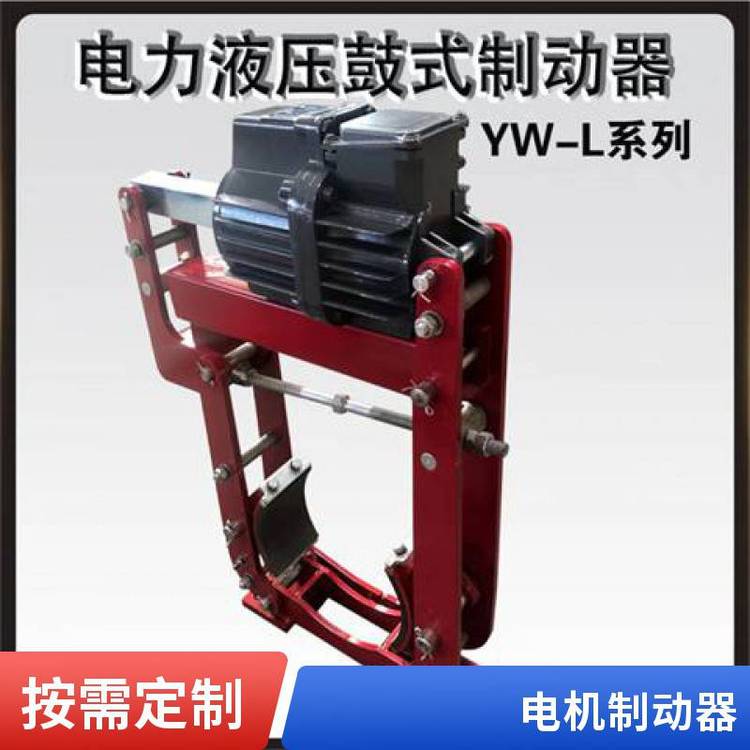 DZS-200DZS3-08電機(jī)臨瑞廠家***電磁制動器