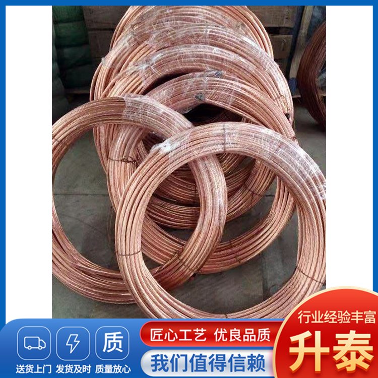 升泰防雷器材常年供應(yīng)銅包鋼絞線防雷工程鍍銅接地線防雷檢測