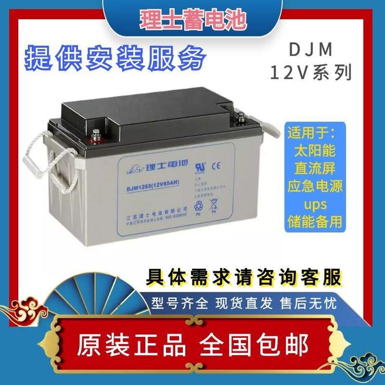 使用壽命長理士DJM12-6512V65AH續(xù)航能力好蓄電池\/通信電動系統(tǒng)