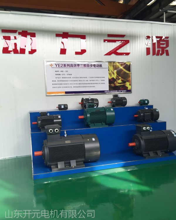開元電機(jī)Y315M-6三相異步電動(dòng)機(jī)超高效率電動(dòng)機(jī)