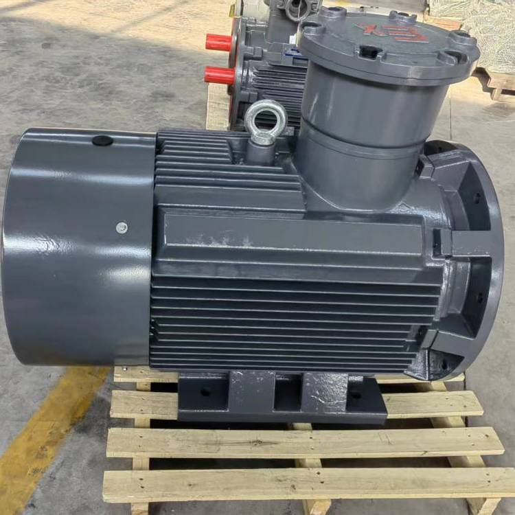 山東開(kāi)元電機(jī)YE3-200L-4節(jié)能電機(jī)
