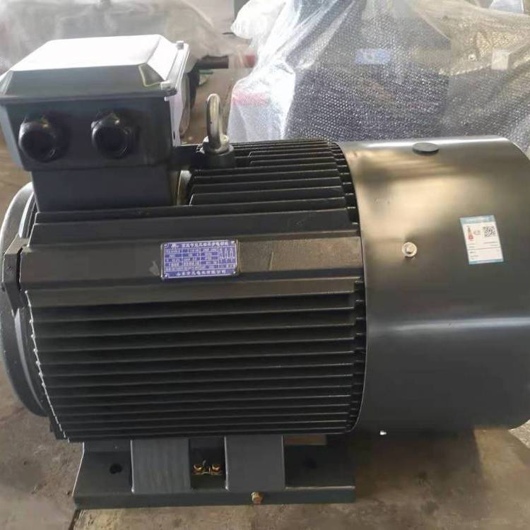 山東開元電機產(chǎn)YE3三相異步電動機