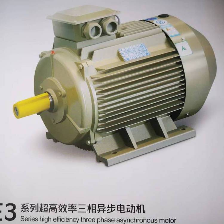供應(yīng)開元電機(jī)系列節(jié)能產(chǎn)品YE3系列高效率三相異步電動(dòng)機(jī)