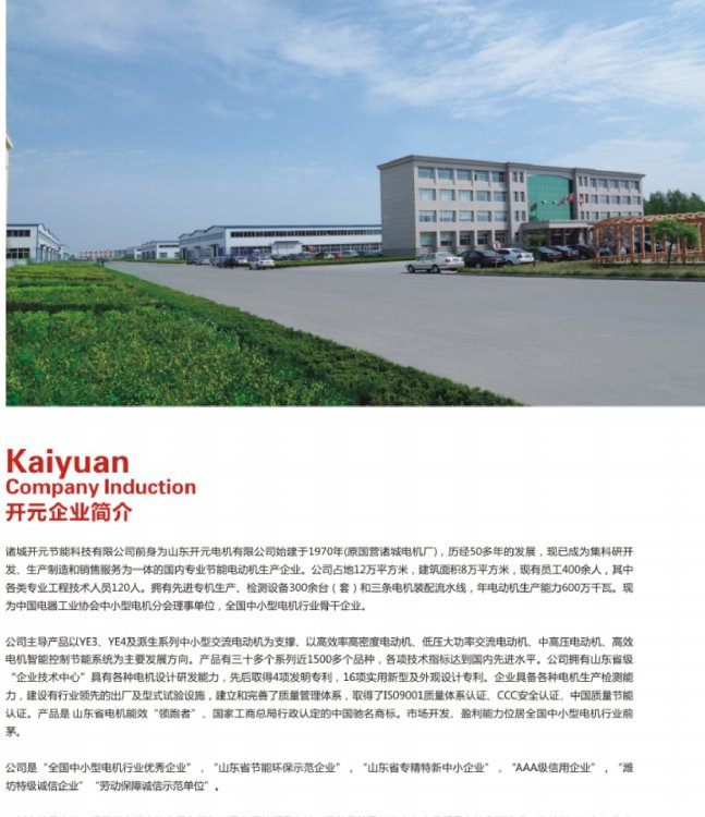 開元電機銷售部380V\50HZ高效節(jié)能電動機YE3-225M-2-45KW
