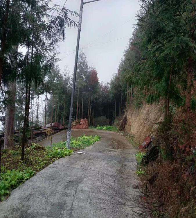 美麗鄉(xiāng)村建設(shè)太陽(yáng)能路燈項(xiàng)目一體化高桿燈LED庭院燈