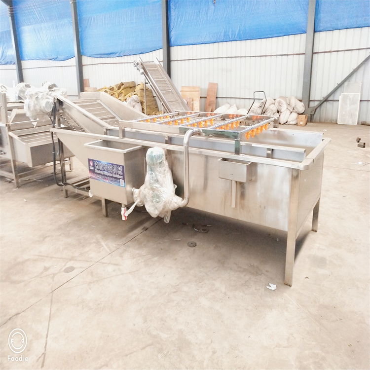 連續(xù)式多功能全自動果蔬清洗流水線凈菜加工設(shè)備按需求設(shè)計方案