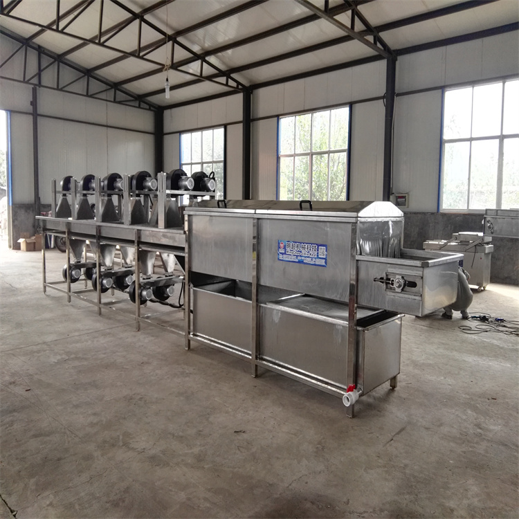 平行噴淋清洗機(jī)中藥材清洗設(shè)備節(jié)約用水可按需定制