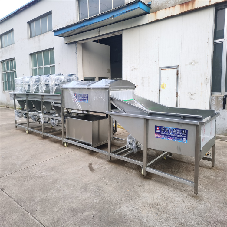 明超供應清洗設備果蔬清洗流水線土豆清洗機器