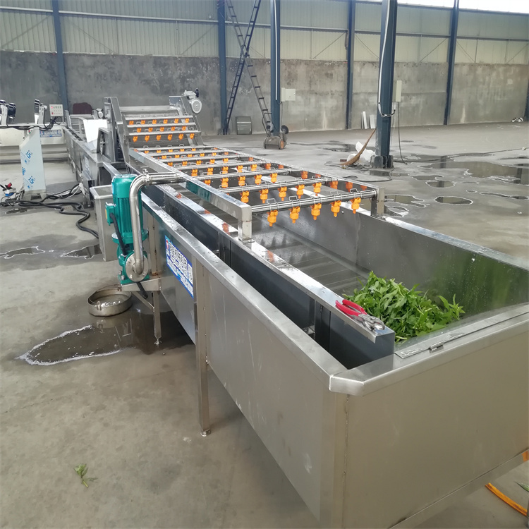 瓜果蔬菜大型多功能氣泡清洗機(jī)醬菜加工沖洗設(shè)備果蔬洗菜機(jī)可定制