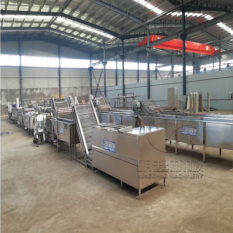 全自動毛輥清洗機(jī)辣根去泥清洗設(shè)備清洗干凈