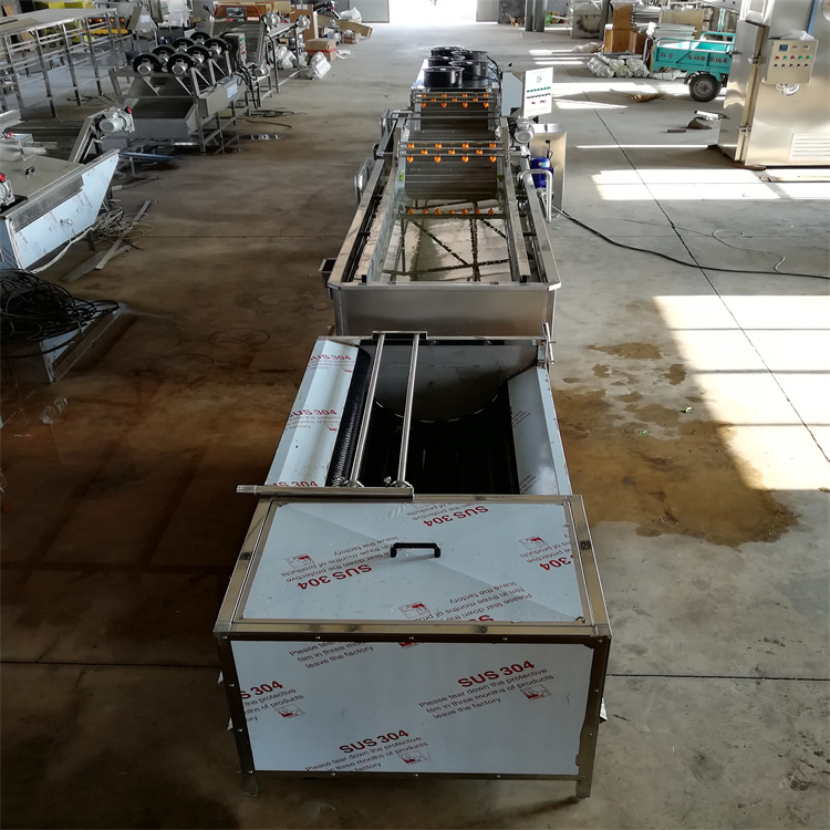 全自動商用毛輥清洗機胡蘿卜清洗機器海產品清洗