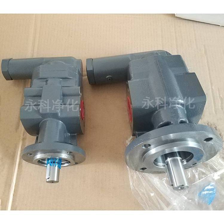 DK112RF齒輪泵稀油站用泵電動鑄鐵油泵