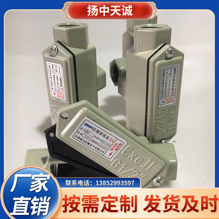 防爆穿線盒防水防腐蝕防老化支持定制廠家直售天誠(chéng)
