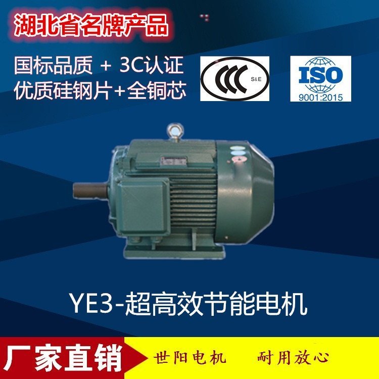 世陽(yáng)電機(jī)YE3-4級(jí)5.5KW超高效節(jié)能電機(jī)廠家制造經(jīng)久耐用