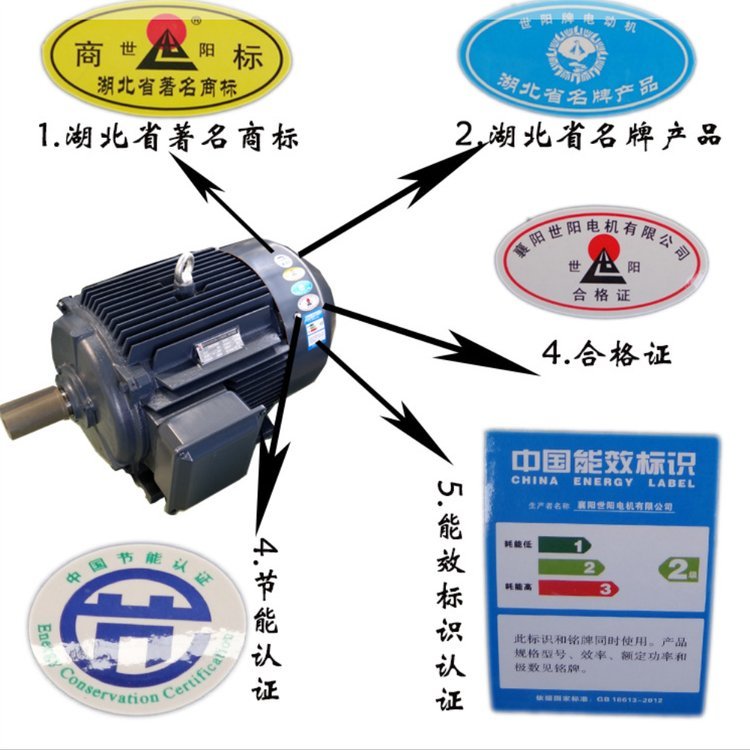 世陽電機YVF2變頻調(diào)速三相異步電動機發(fā)貨速度快