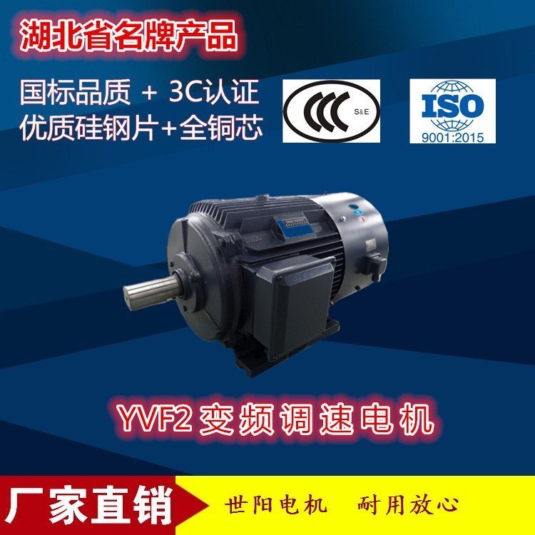 世陽電機YVF2-160M2-2極-15kw變頻調(diào)速電動機廠家直銷湖北變頻調(diào)速電動機廠家