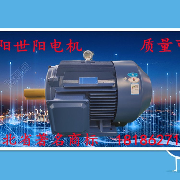 世陽(yáng)電機(jī)YVF2系列變頻調(diào)速三相異步電動(dòng)機(jī)發(fā)貨速度快