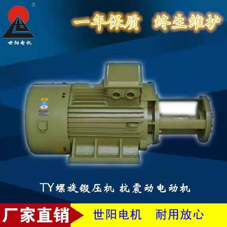 世陽(yáng)TY系列抗震動(dòng)電機(jī)廠家鍛壓沖壓設(shè)備專用