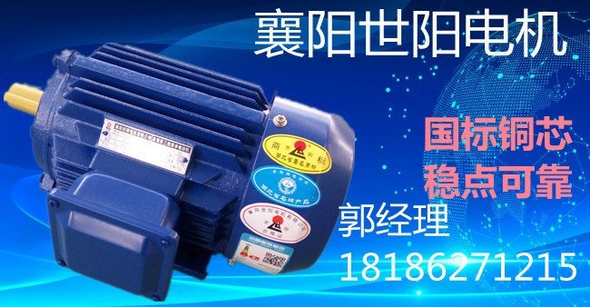世陽電機(jī)YVF2變頻調(diào)速電動(dòng)機(jī)廠家發(fā)貨速度快