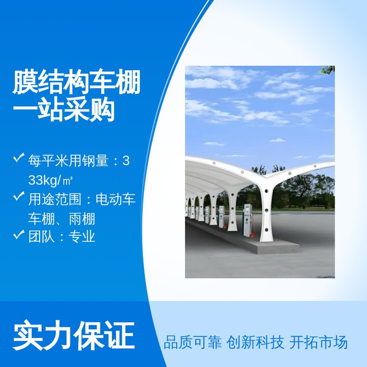膜結(jié)構(gòu)車棚一站采購專業(yè)團(tuán)隊(duì)周到服務(wù)全國供應(yīng)3mm鋼板厚度白色美觀