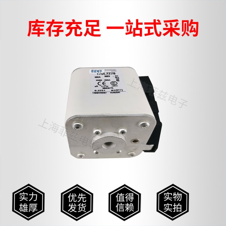 巴斯曼保險(xiǎn)快速熔斷器170M60176018601960206021