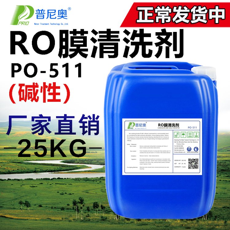 普尼奧堿性反滲透清洗劑凈水機除垢劑RO膜清洗P0-500