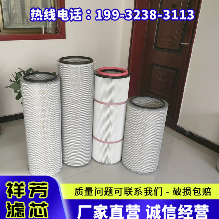 橫插式斜插式除塵濾筒日本東麗覆膜濾芯生產(chǎn)廠家工業(yè)過濾器祥芳