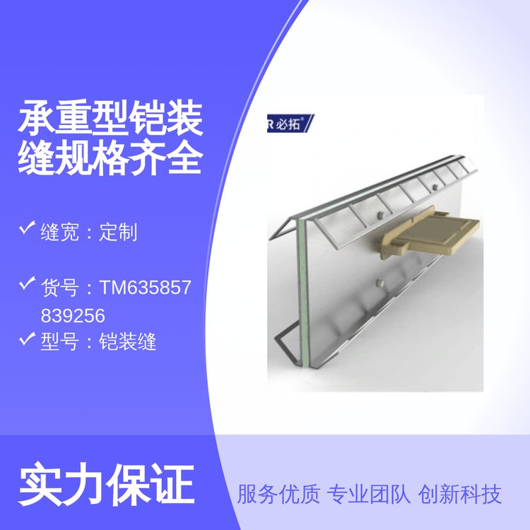 定制縫寬承重型鎧裝縫鍍鋅表面簡(jiǎn)約現(xiàn)代設(shè)計(jì)門廳專用地坪施工縫