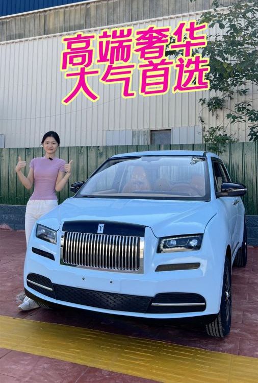 電動(dòng)車四輪車成人座新能源車成人小車女款代步車