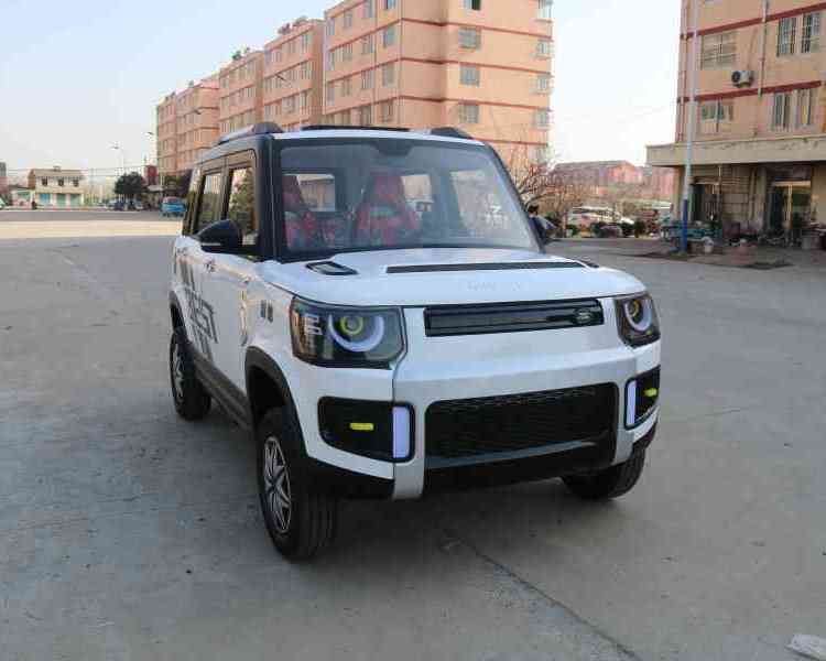 家用四輪車電動車女士老人代步車生產(chǎn)廠家全封閉電瓶車新能源車