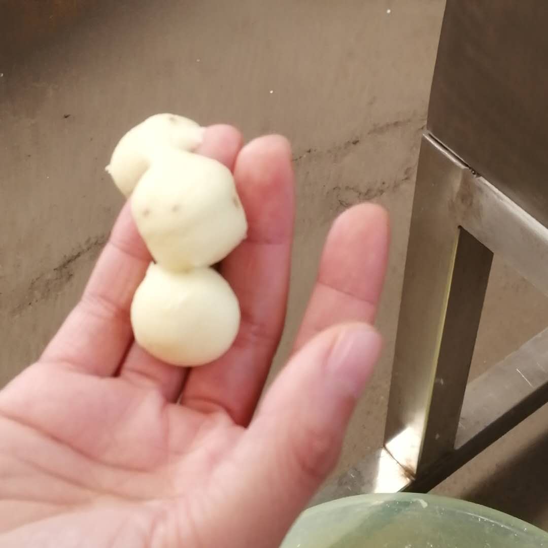 小型魚(yú)丸成型機(jī)成型蒸煮流水線肉丸加工設(shè)備