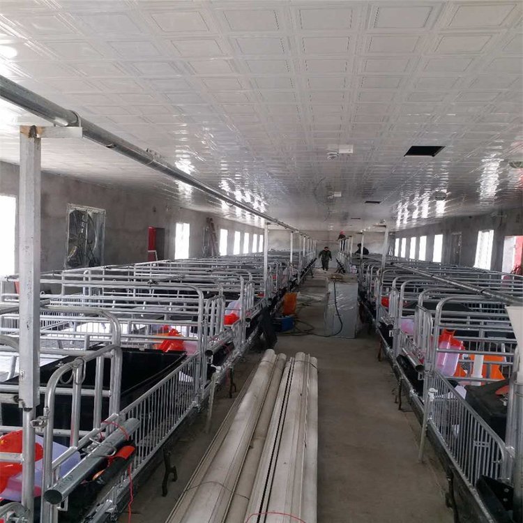 世昌畜牧機械供應(yīng)母豬設(shè)備雙體母豬分娩床010