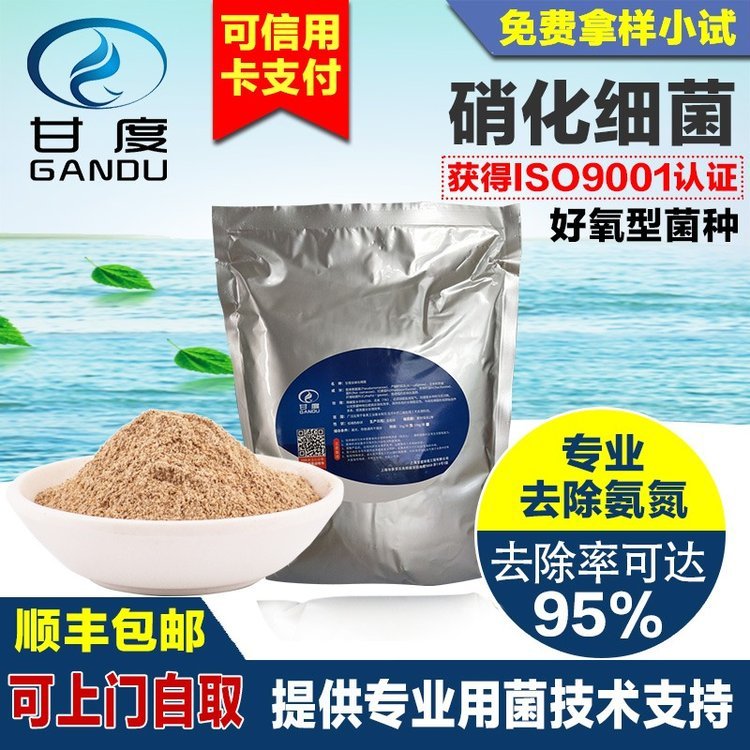 自養(yǎng)硝化菌種-好氧菌-氨氮降解菌全程技術指導