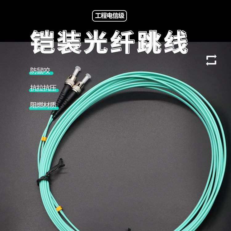 OM3\/4萬兆多模鎧裝光纖跳線電信級SC\/LC\/FC\/ST工程網絡收發(fā)器尾纖