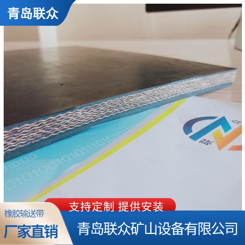 阻燃耐寒橡膠輸送帶電廠輸煤皮帶EP200聚酯帆布帶DIN-W耐磨型聯(lián)眾