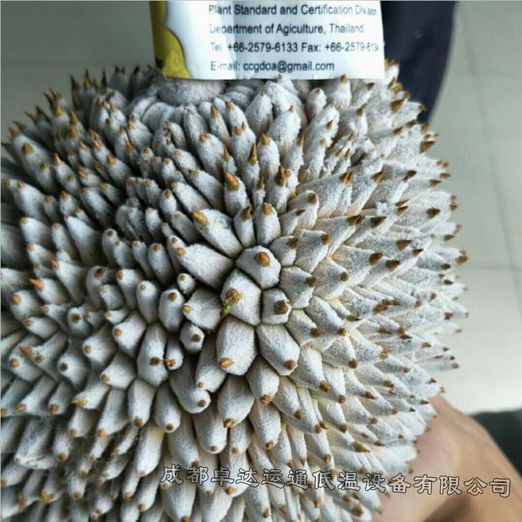 白條雞液氮速凍機(jī)海鮮液氮冷凍設(shè)備廠家卓達(dá)運(yùn)通速凍設(shè)備