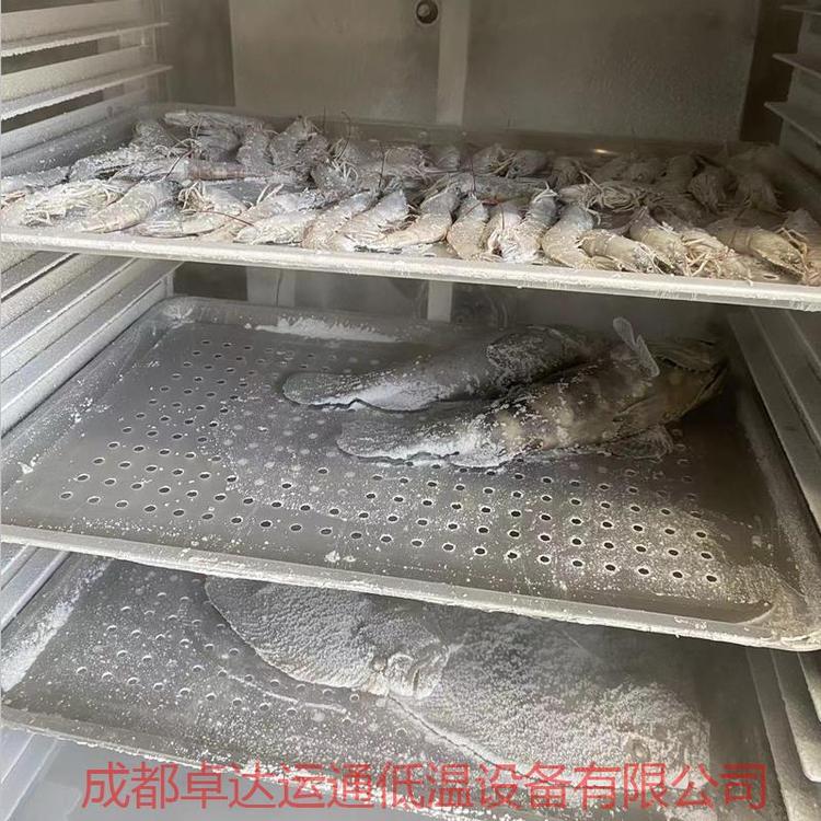 卓達運通秋葵液氮速凍機ZDYT\/YDX-500食品速凍設(shè)備廠