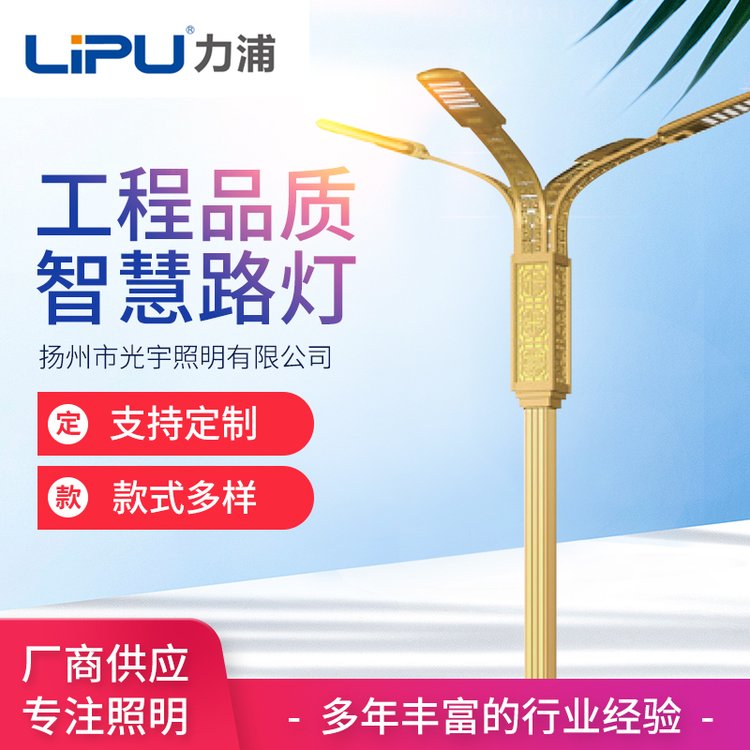 智慧路燈建設(shè)照明亮化燈廠家現(xiàn)貨批發(fā)外觀可定制