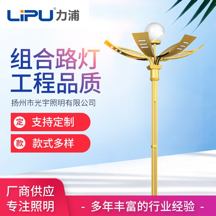 LED中華燈組合桿共桿多桿合一智慧路燈戶(hù)外馬路公園別墅