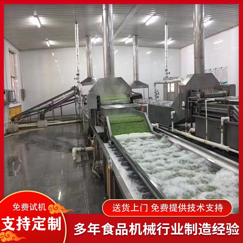 粽葉蘆葦葉黑水虻氣泡清洗機(jī)全自動薺菜去泥機(jī)圣女果清洗設(shè)備