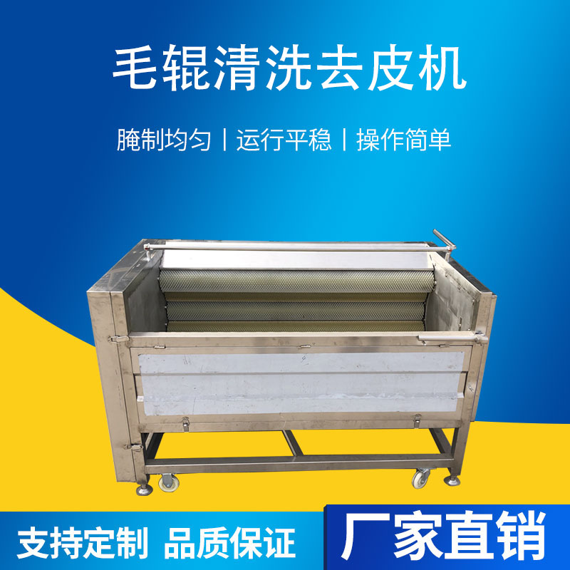 甘蔗去泥沙毛輥清洗機硬毛刷百香果去皮機芋頭天麻馬蹄高壓洗泥機