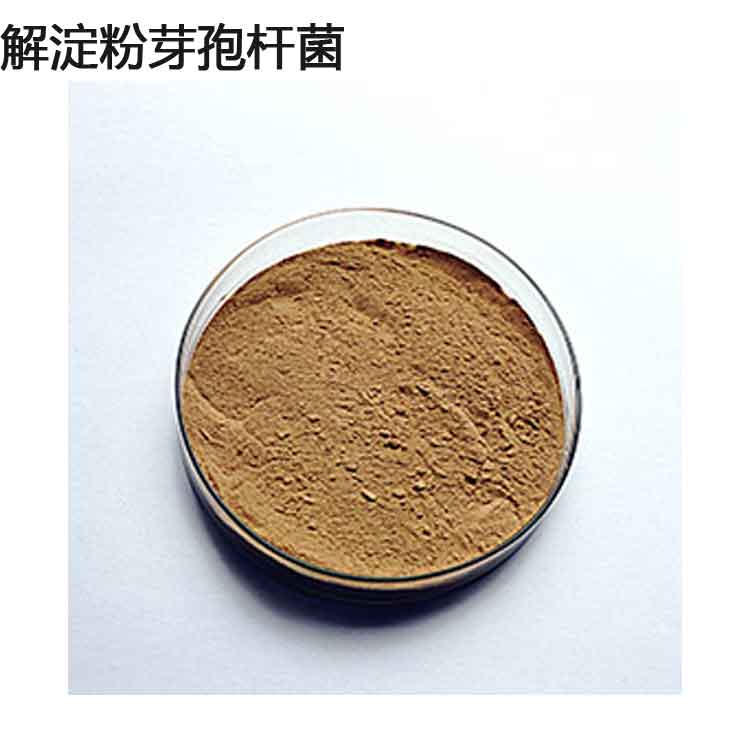 解淀粉芽孢桿菌碧藍生物飼料添加劑廠家農(nóng)林牧副漁