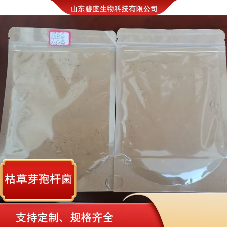枯草芽孢桿菌有機(jī)肥料改善土壤結(jié)構(gòu)促進(jìn)作物生長戊糖片球菌