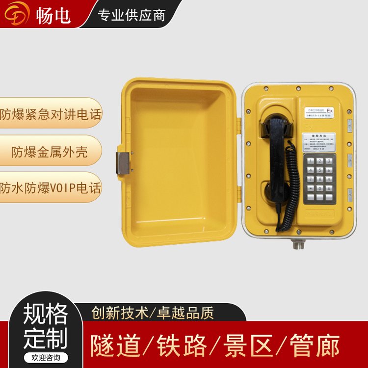 暢電防爆緊急對(duì)講電話石化礦山應(yīng)急通信設(shè)備VoIP工業(yè)電話機(jī)