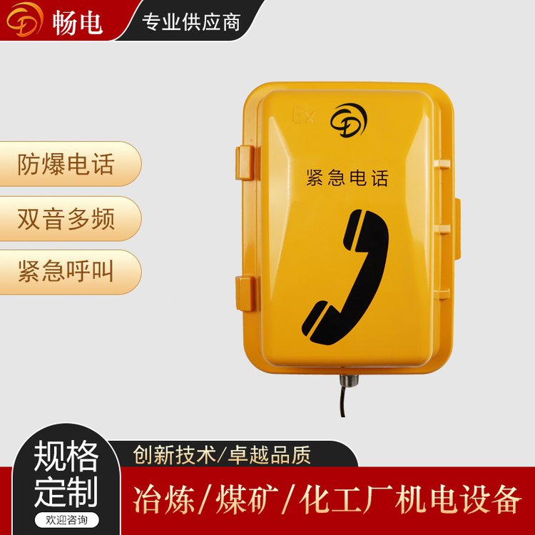 暢電防爆工業(yè)電話雙音多頻壁掛式應(yīng)急電話IP67防水等級(jí)