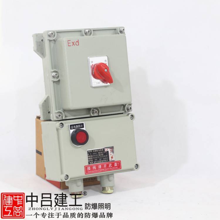 IIC防爆配電箱廣東防爆電箱廠家非標(biāo)防爆箱定做戶外防爆配電箱